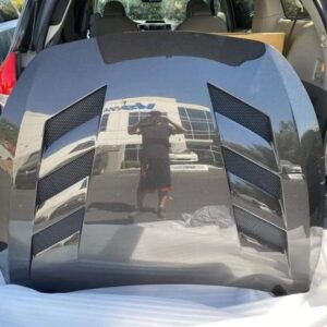 Carbon Fiber Hood