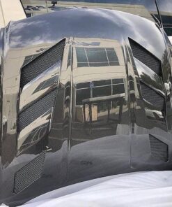Vis Racing AMS Carbon Fiber Hood
