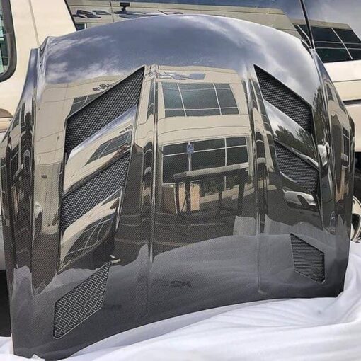 Vis Racing AMS Carbon Fiber Hood