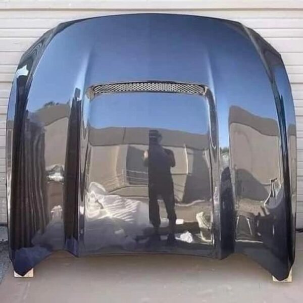 Ford Mustang GT cowl carbon fiber hood