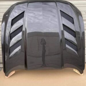 2018-2021 Ford Mustang AMS style Carbon Fiber