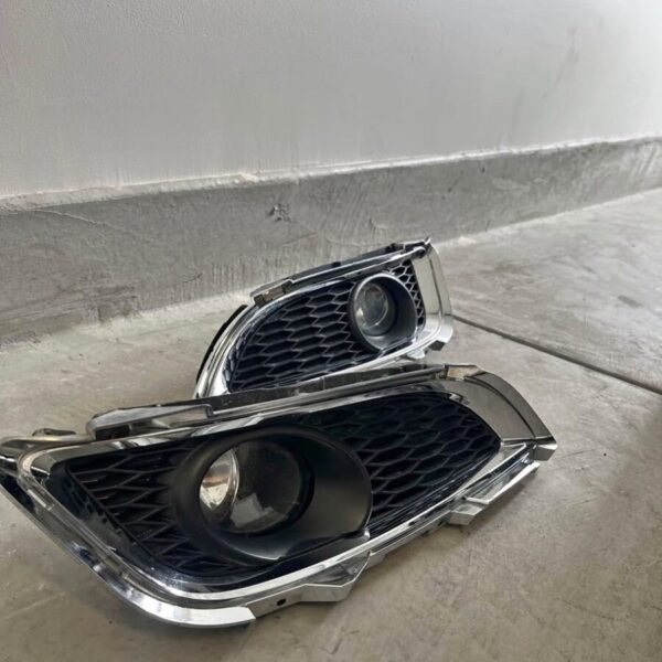 IPL fog light
